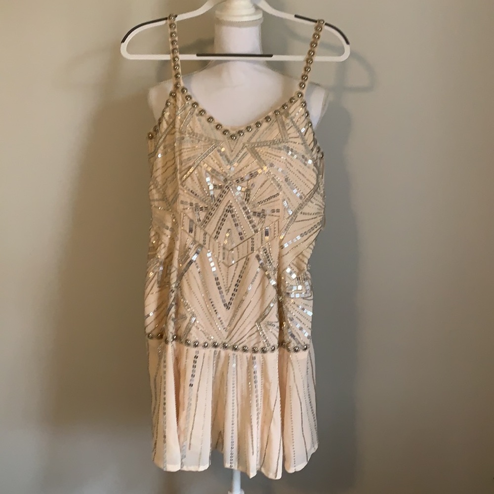 NWT Parker Devan’s Dress in blush - Picture 6 of 11